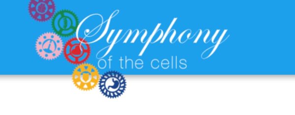 symphony of the cells